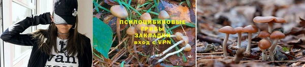ALPHA-PVP Алексеевка