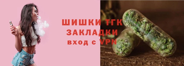 прущие грибы Алзамай