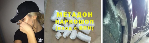 прущие грибы Алзамай