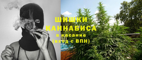прущие грибы Алзамай