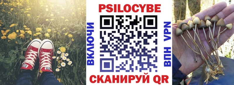 мориарти формула  Октябрьский  Псилоцибиновые грибы прущие грибы 